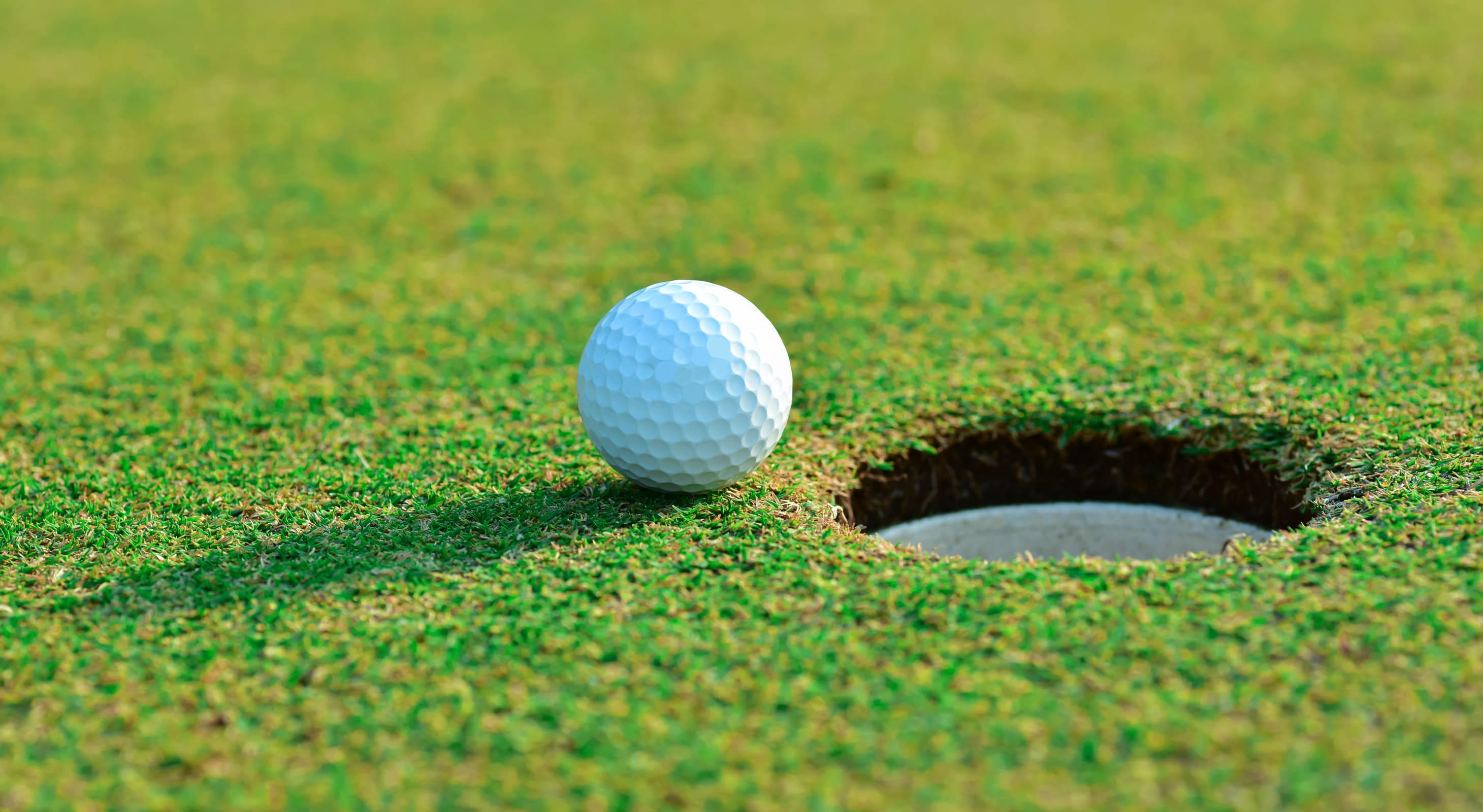 Golf ball on the green
